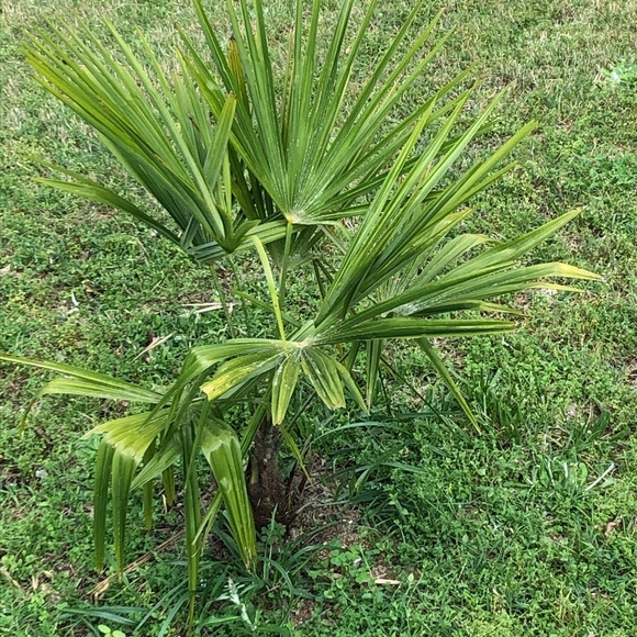 Meet your Posher, Aaron - Picture 1 of 1